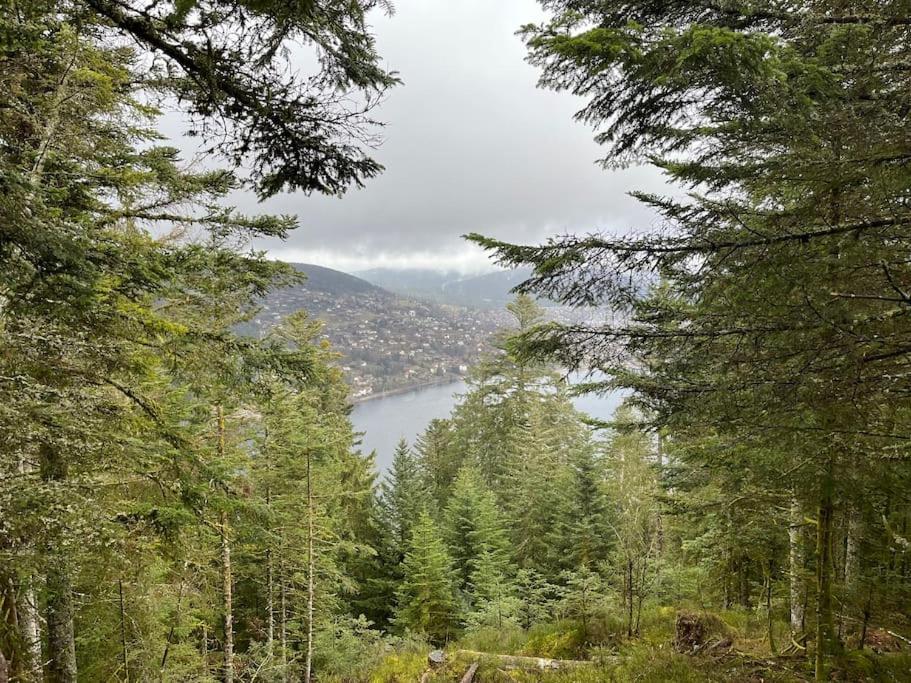 Chalet 3 Etoiles A Gerardmer. 外观 照片