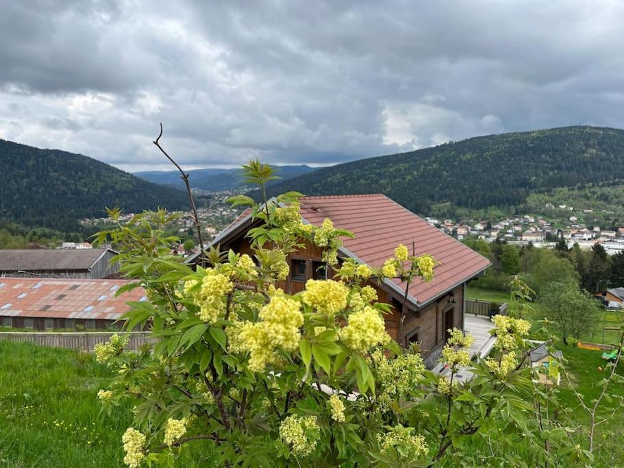 Chalet 3 Etoiles A Gerardmer. 外观 照片