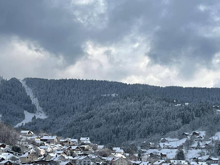 Chalet 3 Etoiles A Gerardmer. 外观 照片
