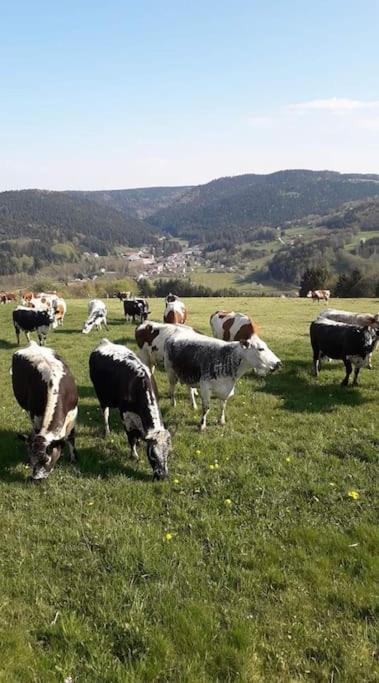 Chalet 3 Etoiles A Gerardmer. 外观 照片