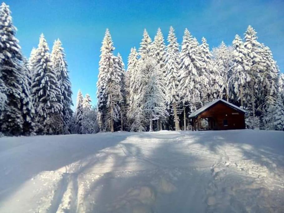 Chalet 3 Etoiles A Gerardmer. 外观 照片