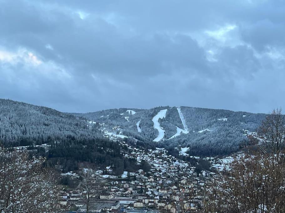 Chalet 3 Etoiles A Gerardmer. 外观 照片