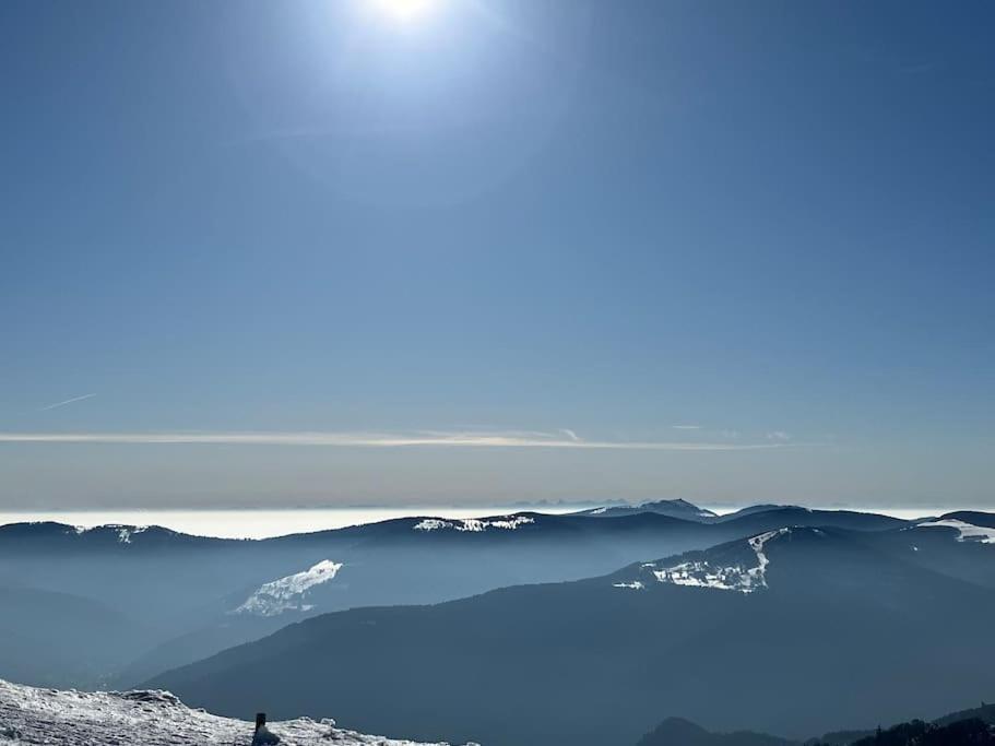 Chalet 3 Etoiles A Gerardmer. 外观 照片