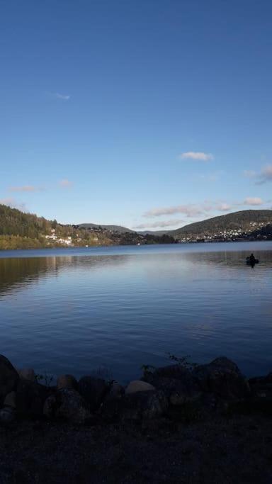 Chalet 3 Etoiles A Gerardmer. 外观 照片
