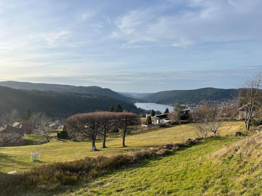 Chalet 3 Etoiles A Gerardmer. 外观 照片