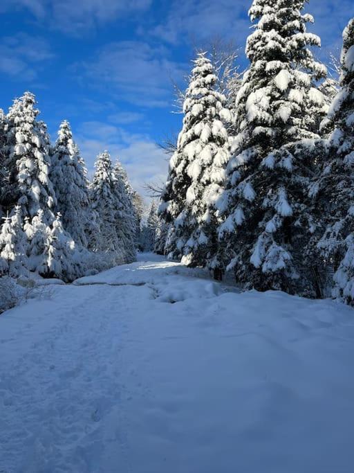 Chalet 3 Etoiles A Gerardmer. 外观 照片