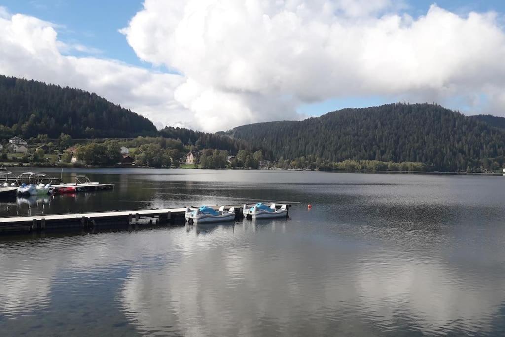 Chalet 3 Etoiles A Gerardmer. 外观 照片