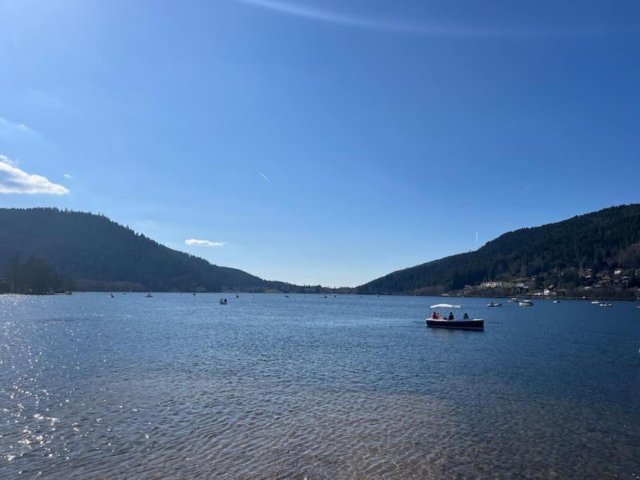 Chalet 3 Etoiles A Gerardmer. 外观 照片